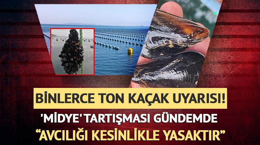 Kaçak midye gerçeğine karşı uyardı...
