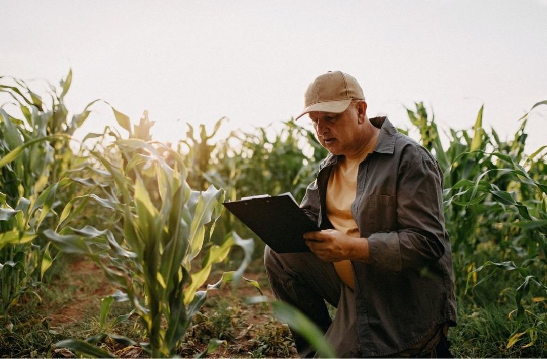İklim krizi kahve rutinimizi kaybetmeye neden olabilir mi? 5