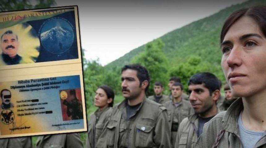 Yakalanan terörist her şeyi itiraf etti! İşte Kandil'in alçak planı