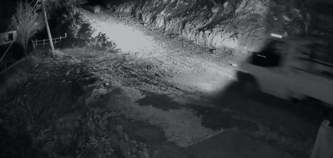 Mahalleliyi canından bezdiren ayıyı evinin önünde yatarken bastı! Kamyoneti ile peşine düştü 3