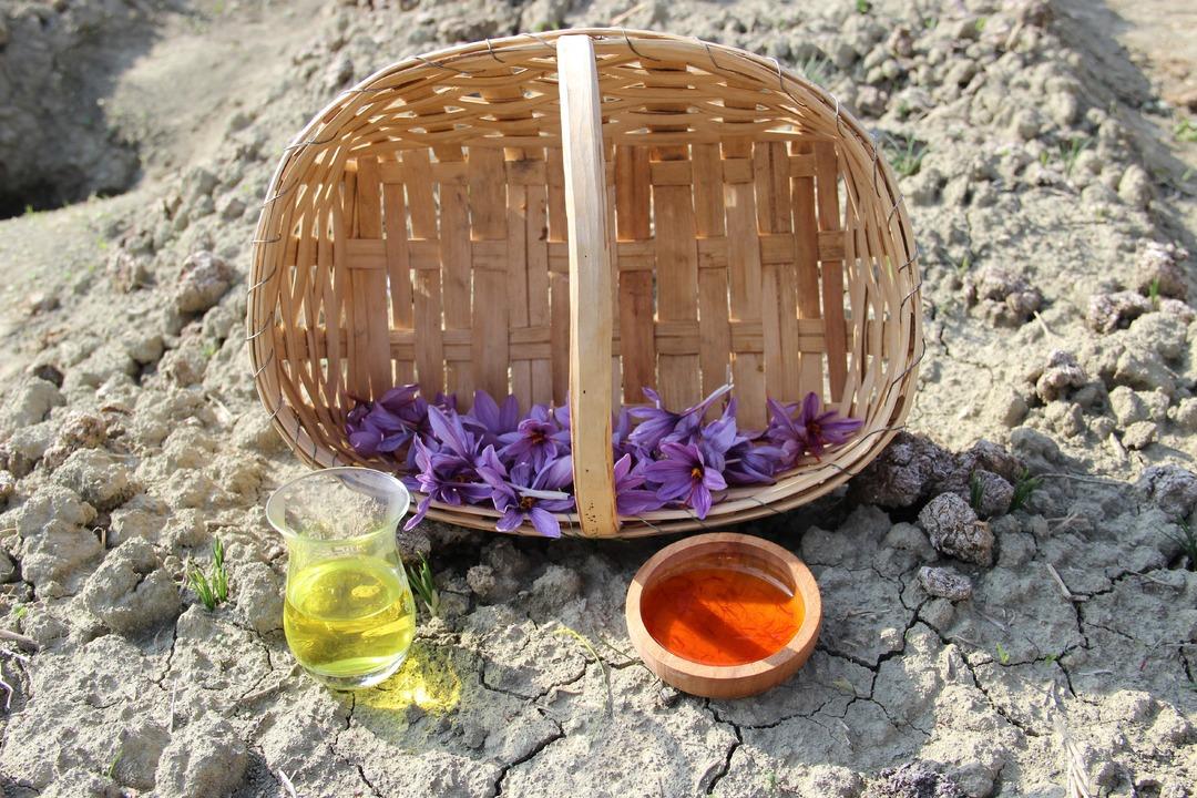 Keşfedince denedi! 600 bin TL ye alıcısı var, başkalarına da gelir olsun istiyor 10