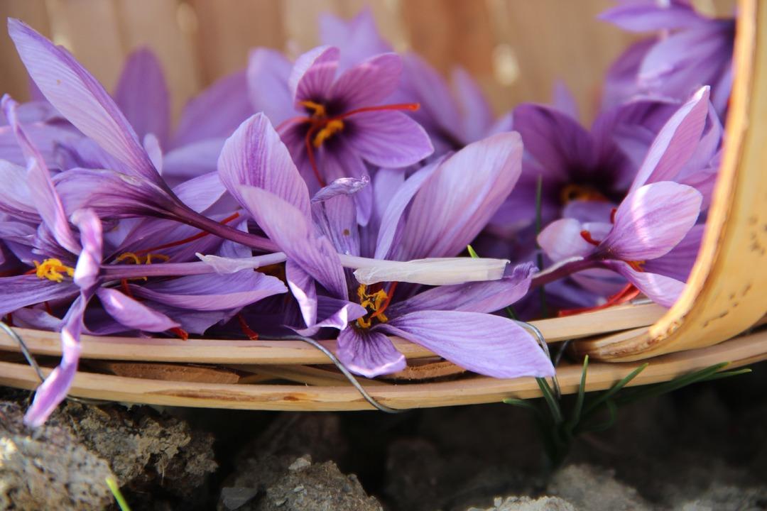 Keşfedince denedi! 600 bin TL ye alıcısı var, başkalarına da gelir olsun istiyor 8