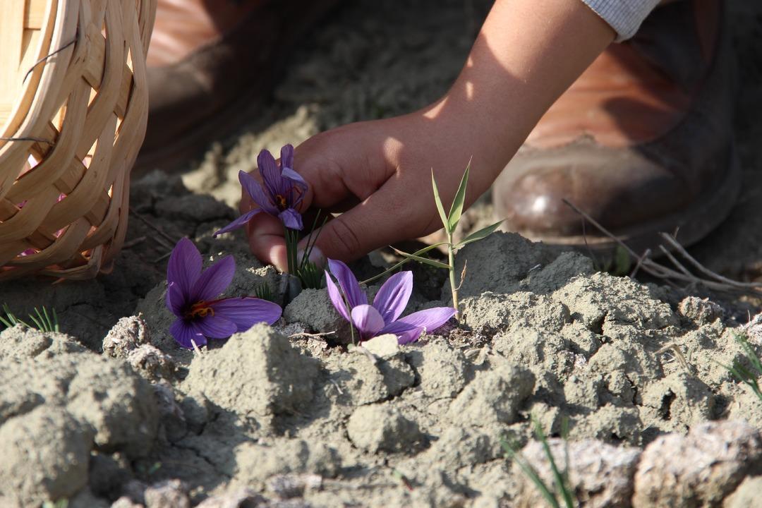Keşfedince denedi! 600 bin TL ye alıcısı var, başkalarına da gelir olsun istiyor 2
