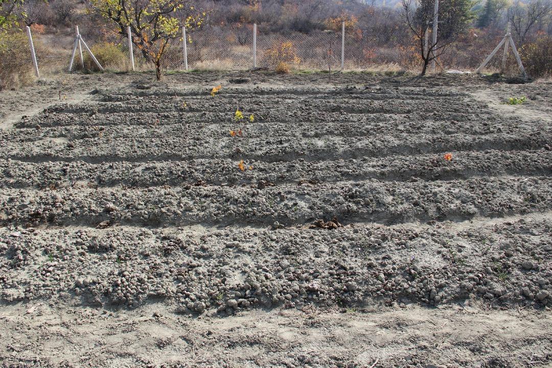 Keşfedince denedi! 600 bin TL ye alıcısı var, başkalarına da gelir olsun istiyor 4