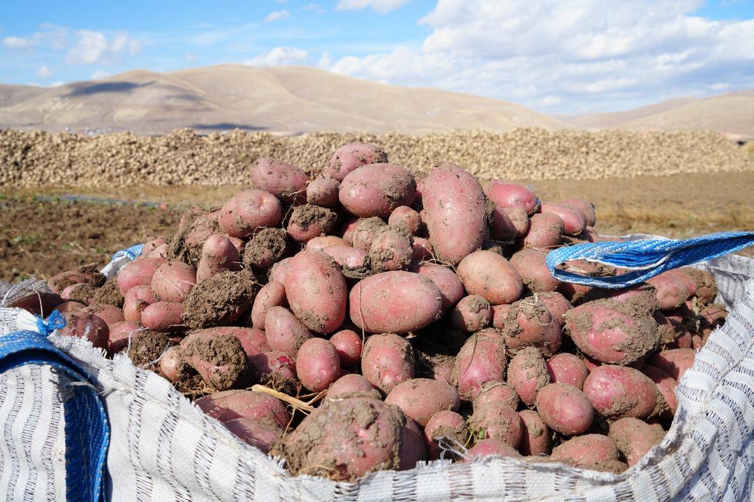 İran dan turist izni ile gelip çalışıyorlar! Öyle bir sorun var ki üretim durabilir 1