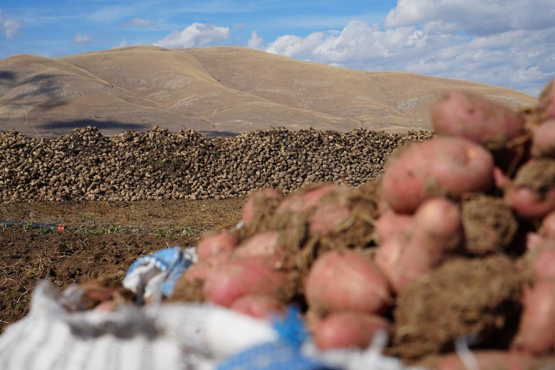 İran dan turist izni ile gelip çalışıyorlar! Öyle bir sorun var ki üretim durabilir 2