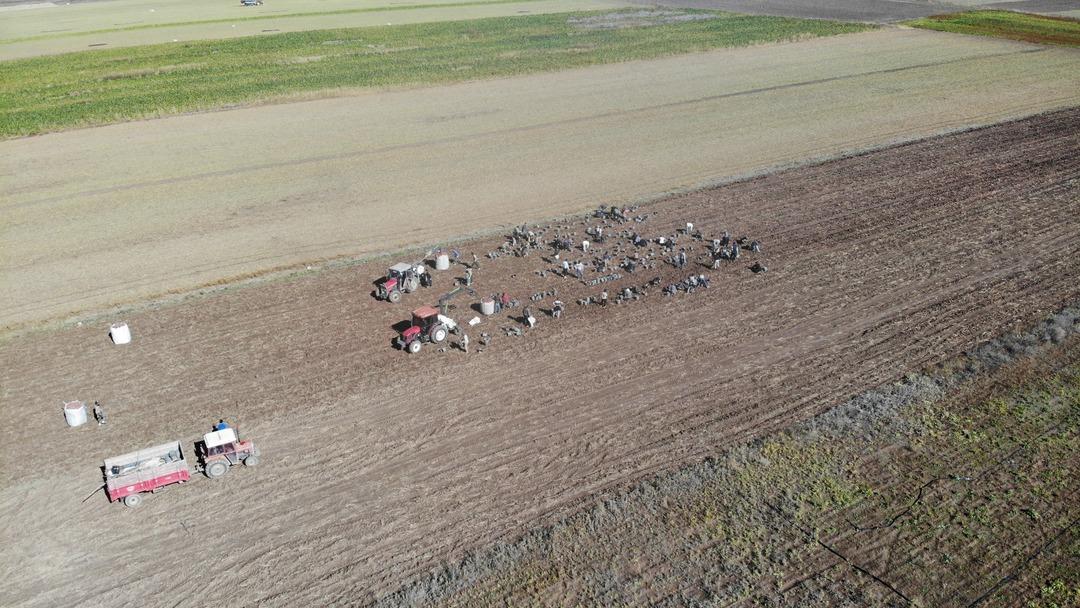 İran dan turist izni ile gelip çalışıyorlar! Öyle bir sorun var ki üretim durabilir 3