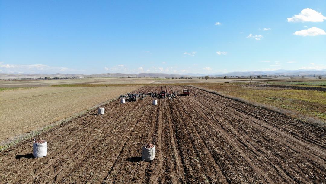 İran dan turist izni ile gelip çalışıyorlar! Öyle bir sorun var ki üretim durabilir 4