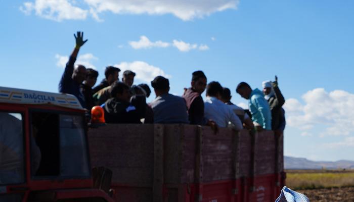 İran'dan turist izni ile gelip çalışıyorlar!