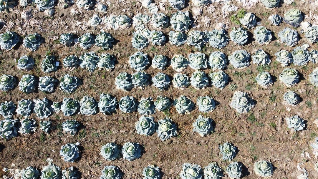 Araya aracı koymadan satış yapıyorlar! 500 TL ye kadar çıkıyor 3