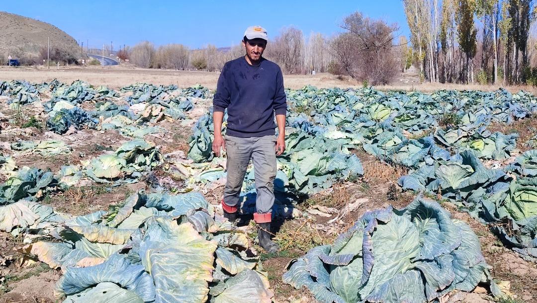 Araya aracı koymadan satış yapıyorlar! 500 TL ye kadar çıkıyor 2