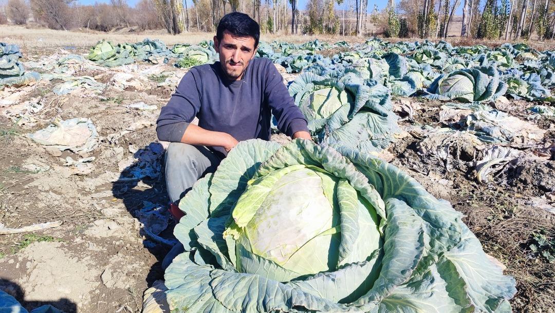 Araya aracı koymadan satış yapıyorlar! 500 TL ye kadar çıkıyor 1