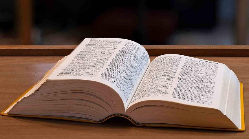 Cambridge Sözlüğü, 2025'in kelimesini açıkladı! Anlamı ne?