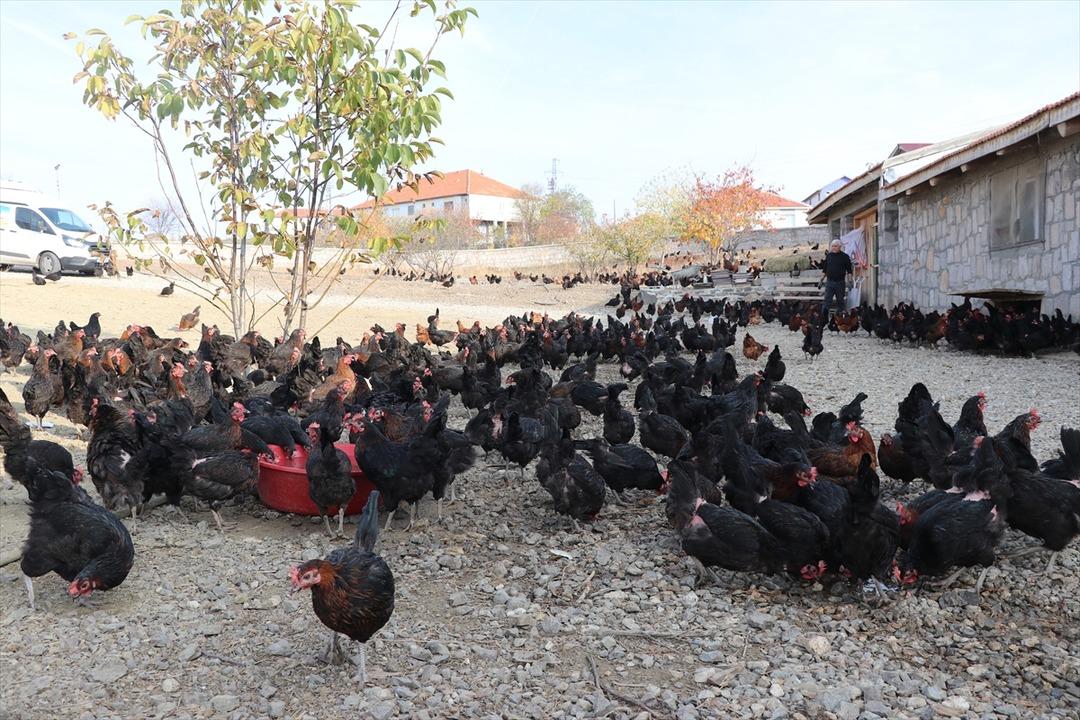 4 ay önce başladı şimdi marketlere satıyor! 1