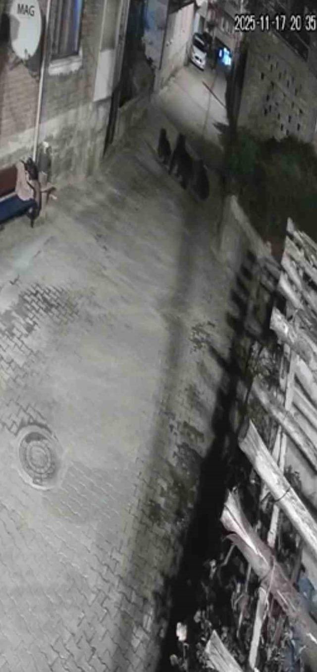 Yerleşim alanına inen ayılar k&ouml;y sakininden korkup ka&ccedil;tı 1