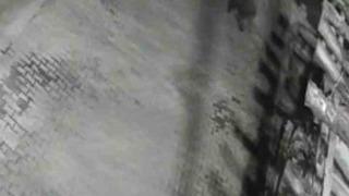 Yerleşim alanına inen ayılar köy sakininden korkup kaçtı