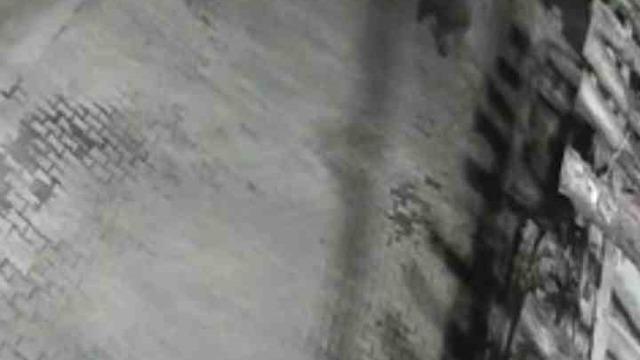 Yerleşim alanına inen ayılar köy sakininden korkup kaçtı