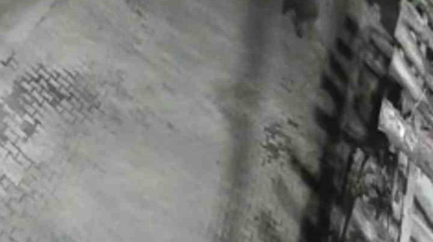 Yerleşim alanına inen ayılar k&ouml;y sakininden korkup ka&ccedil;tı