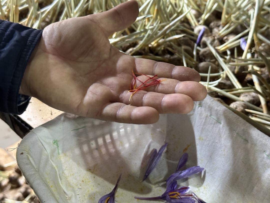 Alternatif ararken buldular! Ona yöneldiler  Çoktan sattık  3