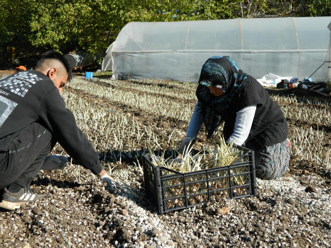 Alternatif ararken buldular! Ona yöneldiler  Çoktan sattık  1