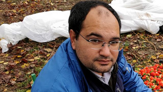 Sağında solunda kar ortasında hasat 'Görünce şok oluyorlar' 