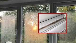 Bu yöntem gündem oldu: 65 kuruşla yok etti!