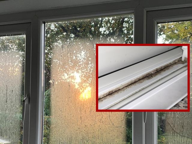 Herkes bu yöntemi konuşuyor: Camdaki nemi 65 kuruşla yok etti! Rutubet ve küf sorununa evdeki en ucuz çözüm...