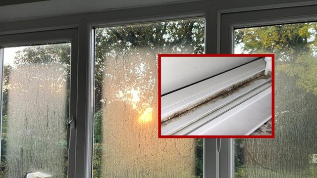 Herkes bu yöntemi konuşuyor: Camdaki nemi 65 kuruşla yok etti! Rutubet ve küf sorununa evdeki en ucuz çözüm...