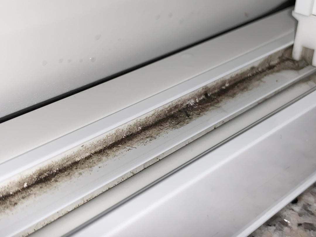 Herkes bu yöntemi konuşuyor: Camdaki nemi 65 kuruşla yok etti! Rutubet ve küf sorununa evdeki en ucuz çözüm... 4