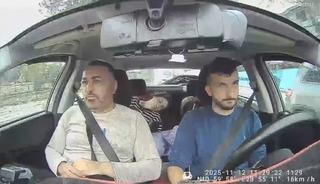 Böcek ailesinin en zor anları: Baba endişeli; anneyle çocuklar bitkin! Yeni ortaya çıkan görüntüler kahretti