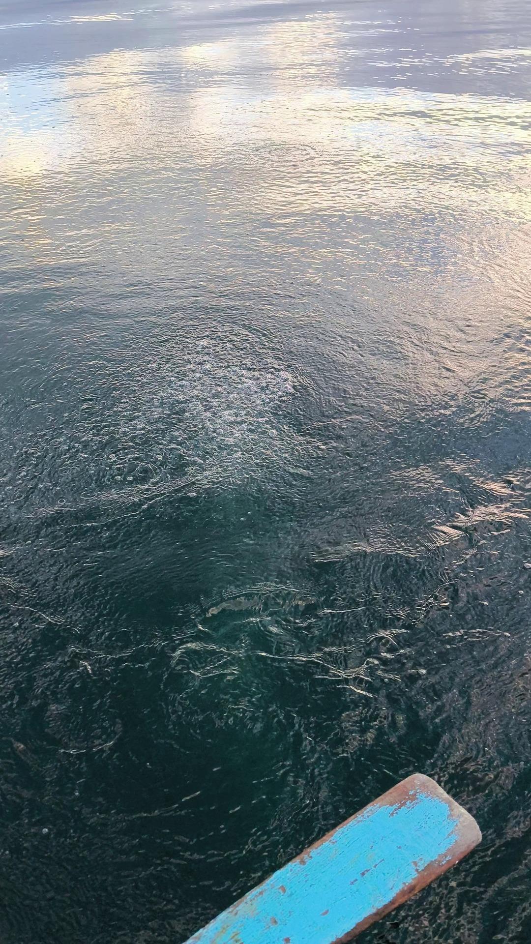 Kabarcıkları görünce herkesin kafası karıştı! Sapanca Gölü nde ilginç manzara: ‘Su kaynıyor 1