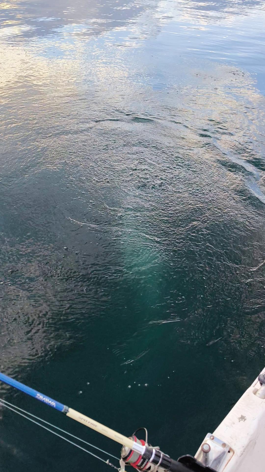 Kabarcıkları görünce herkesin kafası karıştı! Sapanca Gölü nde ilginç manzara: ‘Su kaynıyor 2