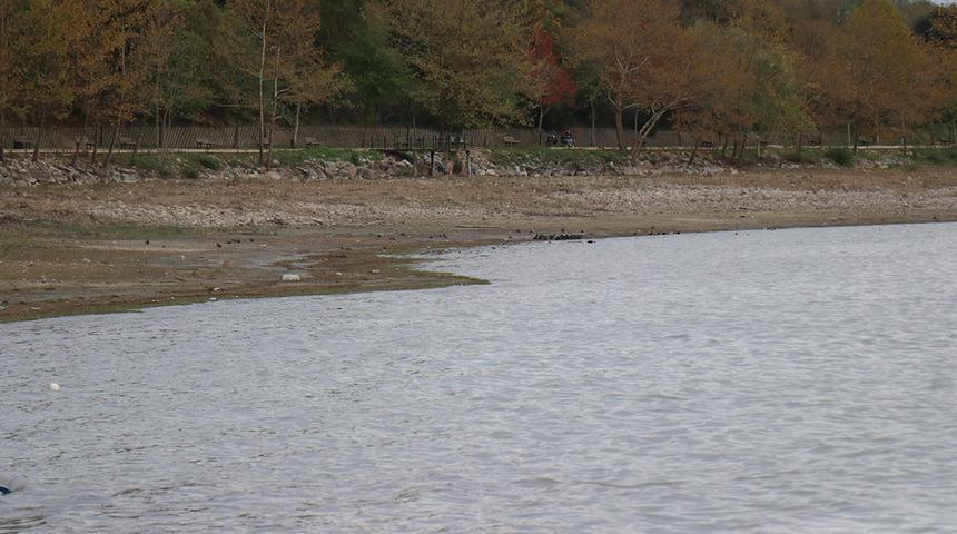 Kabarcıkları görünce herkesin kafası karıştı! Sapanca Gölü'nde ilginç manzara: ‘Su kaynıyor'