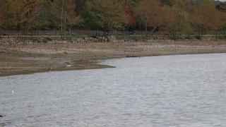 Kabarcıkları görünce herkesin kafası karıştı! Sapanca Gölü'nde ilginç manzara: ‘Su kaynıyor'