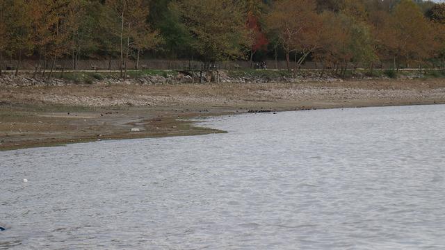 Kabarcıkları görünce herkesin kafası karıştı! Sapanca Gölü'nde ilginç manzara: ‘Su kaynıyor'