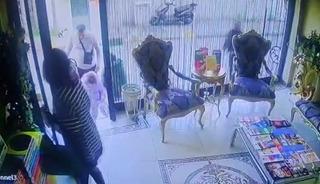 Böcek ailesinin ölümüne ne yol açtı? İlk rapor geldi: "Kimyasal maddeden..."