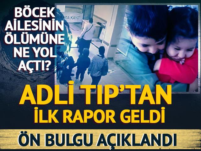 Böcek ailesinin ölümüne ne yol açtı? İlk rapor geldi: "Kimyasal maddeden..."