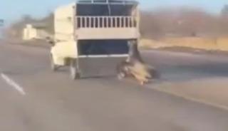 Vicdansızlığın bu kadarı! Atı yerlerde böyle sürükledi