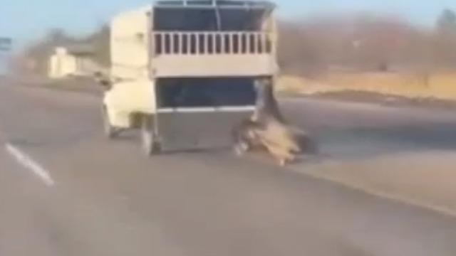 Kamyonetin arkasına bağladığı atı dakikalarca sürükledi; o anlar kamerada