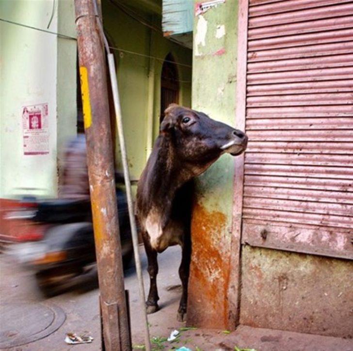 Ölen annesini her yıl mezardan çıkarıyor! G2