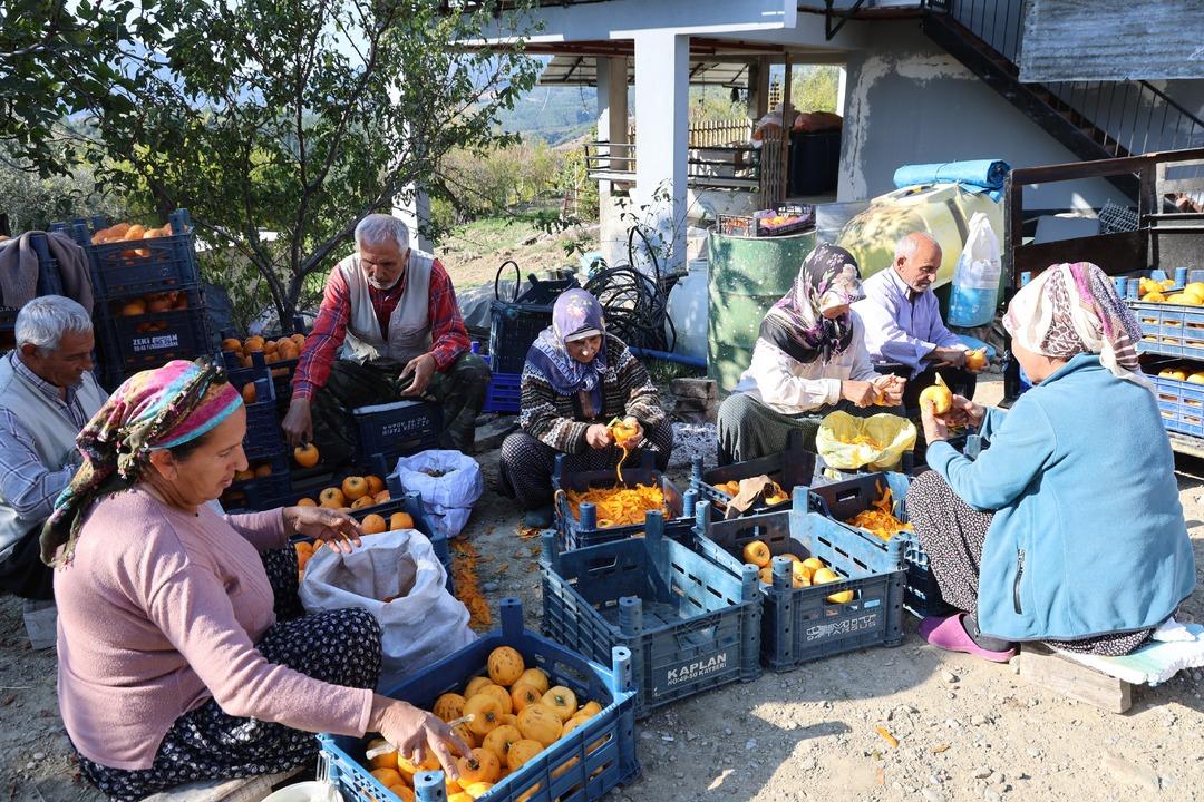 Köy fabrikaya dönüştü  Yılda bir 20 gün uğraşıyoruz! Çok iyi gelir kaynağı  3