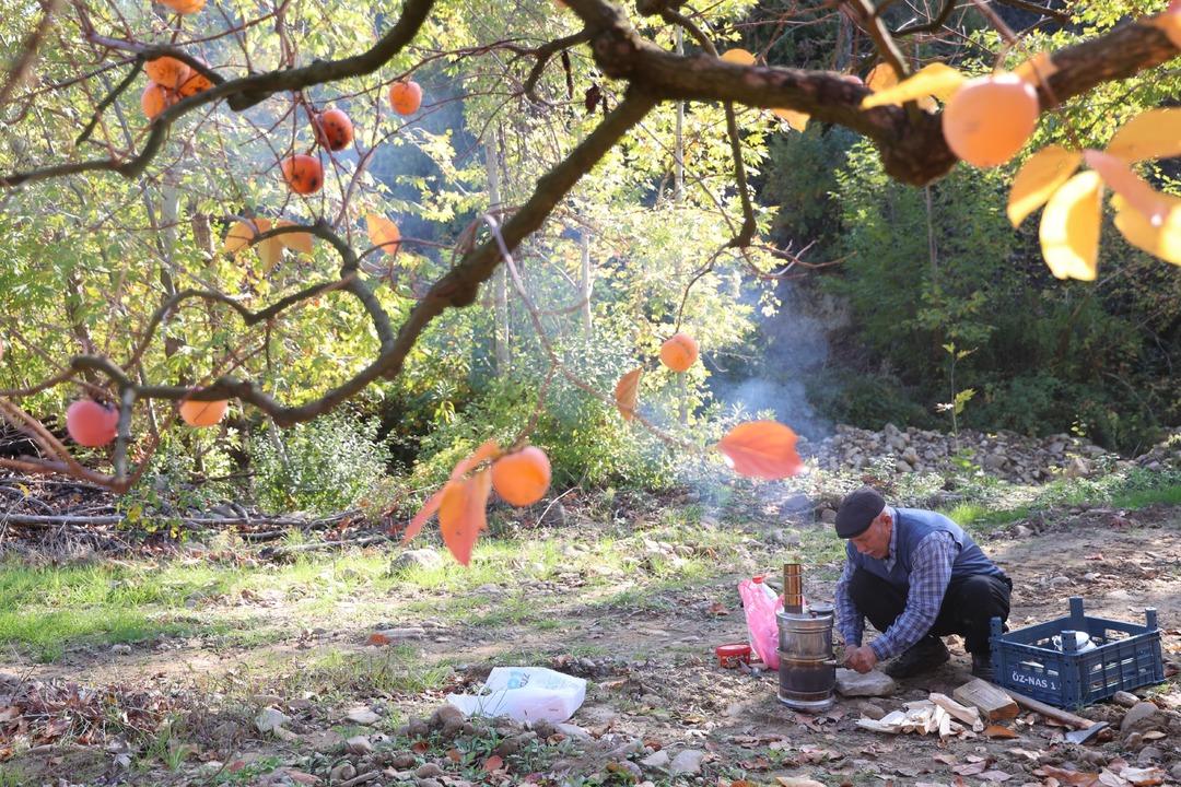 Köy fabrikaya dönüştü  Yılda bir 20 gün uğraşıyoruz! Çok iyi gelir kaynağı  6