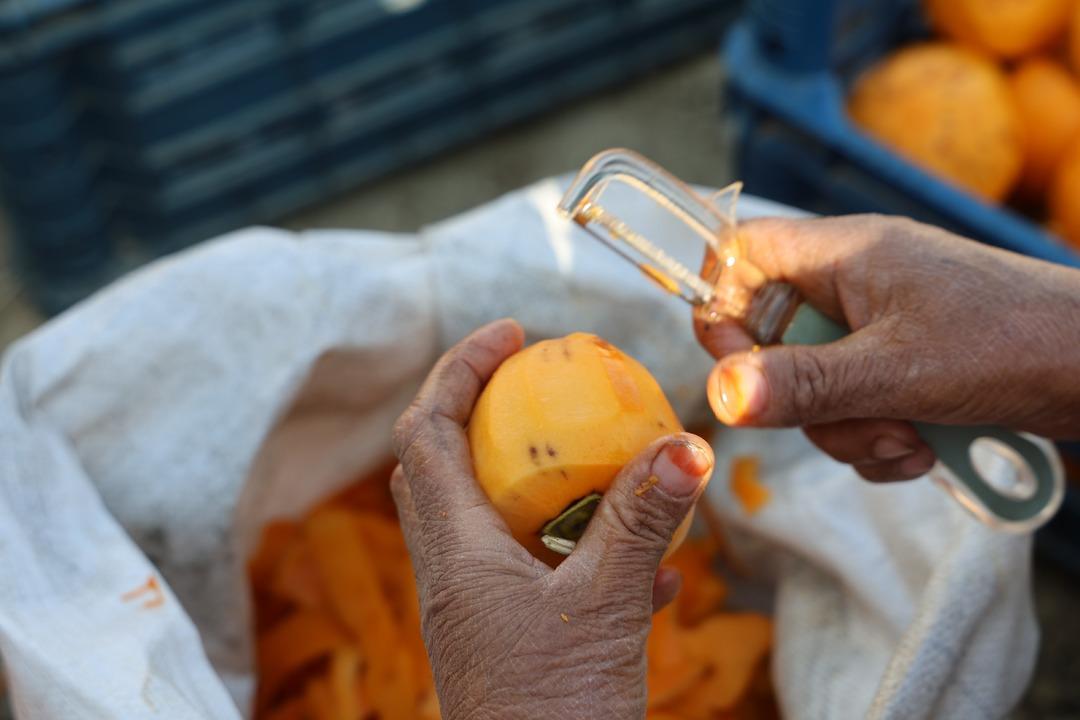 Köy fabrikaya dönüştü  Yılda bir 20 gün uğraşıyoruz! Çok iyi gelir kaynağı  9