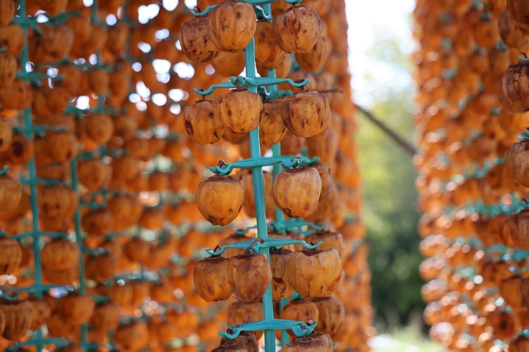 Köy fabrikaya dönüştü  Yılda bir 20 gün uğraşıyoruz! Çok iyi gelir kaynağı  5