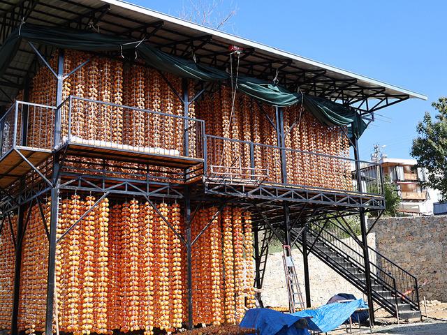 Köy fabrikaya dönüştü 'Yılda 20 gün uğraşıyoruz! Çok iyi gelir kaynağı'