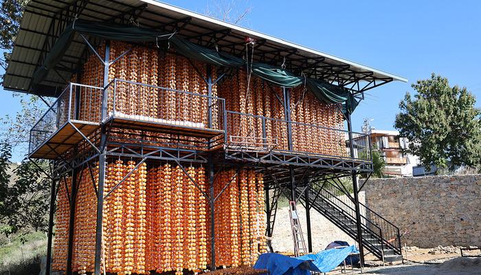 Köy fabrikaya dönüştü 'Yılda bir 20 gün uğraşıyoruz! Çok iyi gelir kaynağı'