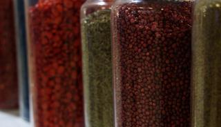 Türkiye 121 ülkeye tohum ihraç ediyor!