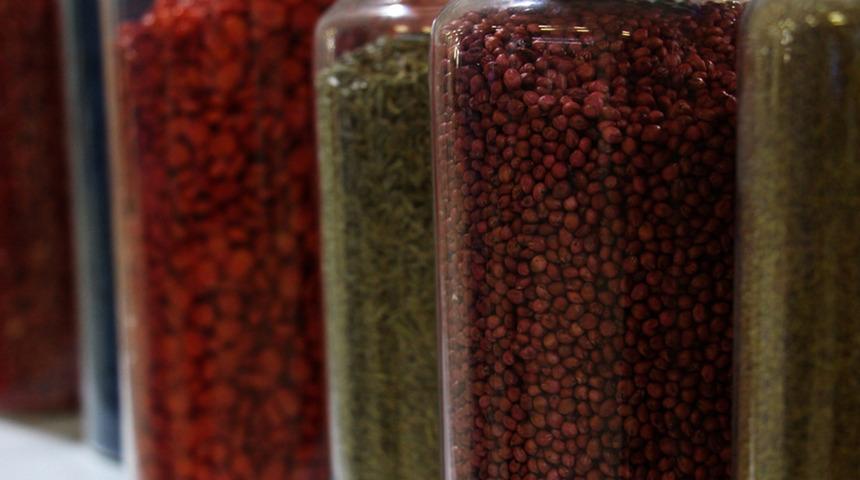 Türkiye 121 ülkeye tohum ihraç ediyor!