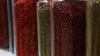 Türkiye 121 ülkeye tohum ihraç ediyor!