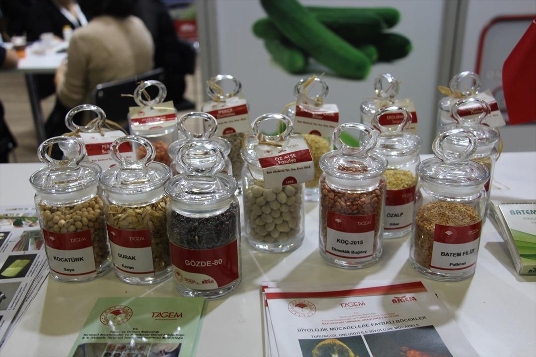 Türkiye 121 ülkeye tohum ihraç ediyor! 1